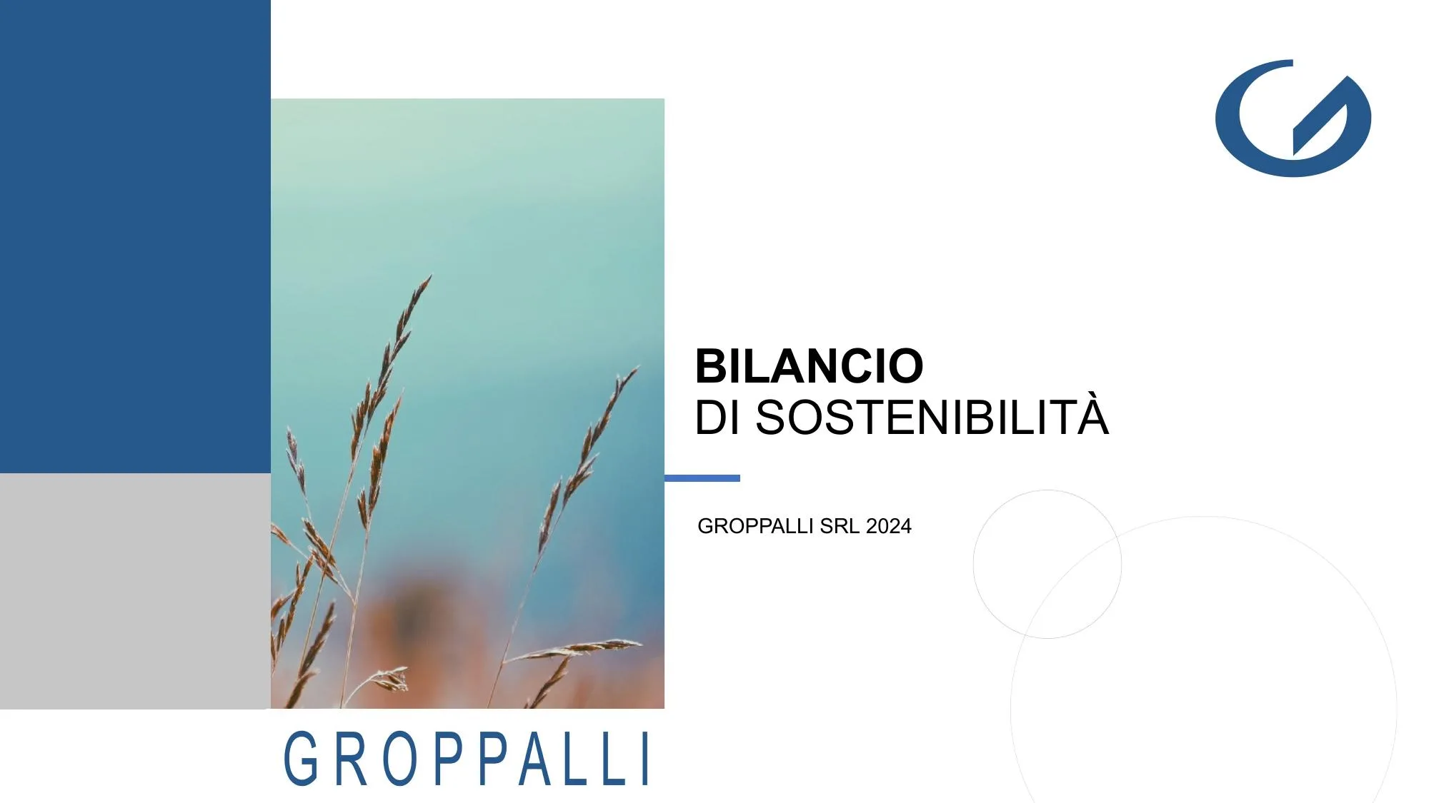 Copertina del Bilancio di Sostenibilità 2024